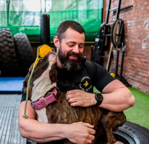 Cómo llevamos nuestro negocio de entrenamiento canino a los 3 principales de Google